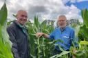 Crop inspection: judge Stephen Hemmingway with beans and with Chief Steward Chris Wilson..Picture Credit Matthew Wilson, aged13