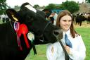 Dalston Show nostalgia 2000Christine Pattinson, Walby Hall, Crosby on Eden with her cow in milk which won the Holstein Friesian championship and reserve dairy interbreed championship at Dalston Show on Saturday     LOFTUS BROWN