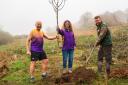 The Eden Project plants 1,400 trees to celebrate marathon runners