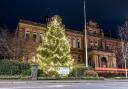 A majestic new Christmas tree has been erected in a Cumbrian town. The tree has been placed in front of Penrith Town Hall