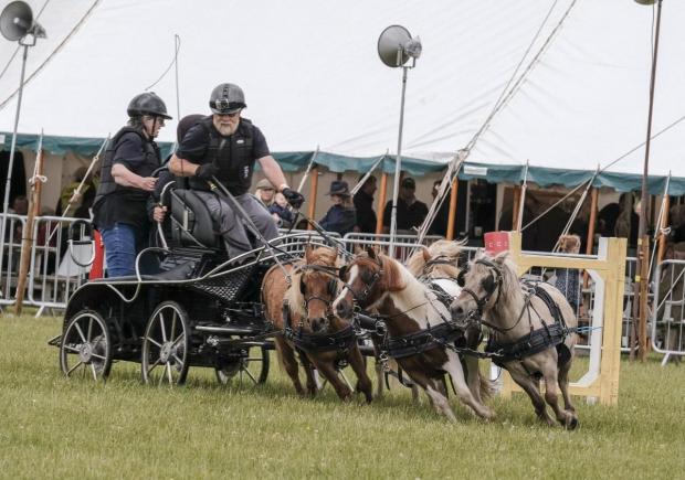 Cumberland & Westmorland Gazette: TRADITION: The Cumberland Show 2018. The driving competition in the Main ring.