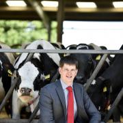 Craig Brough, head of Hopes Land Agency, pictured at Buckabank Farm in Dalston