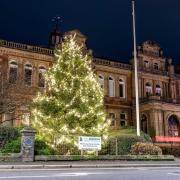 A majestic new Christmas tree has been erected in a Cumbrian town. The tree has been placed in front of Penrith Town Hall