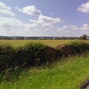 Land south of Low Hesket. Picture: Google Streetview