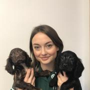 Left for dead: Veterinary nurse, Tillie Foy, cuddles the two abandoned pups
