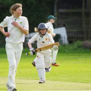 It will be the first time girls can play in a Cumbrian cricket league.