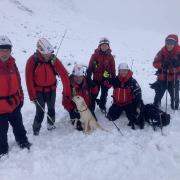 Members of Duddon and Wasdale MRTs with the rescued dogs