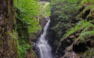 PICTURED: Aira Force